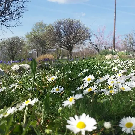 Etno Kompleks Kapetan Misin Breg * Donji Milanovac